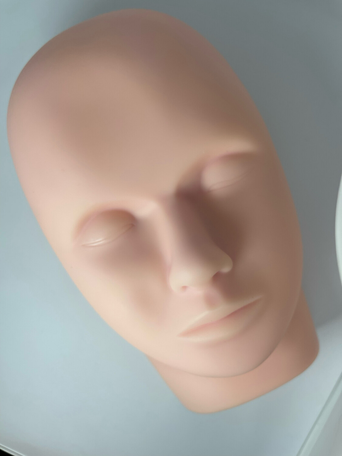 Mannequin Training Head