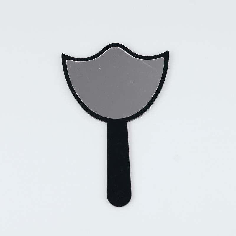 Lash Mirror