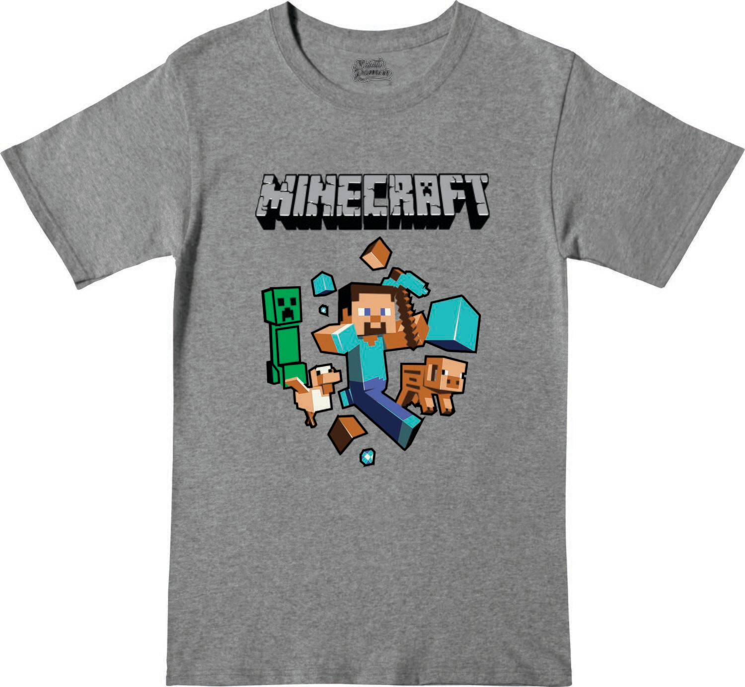 Remera Minecraft
