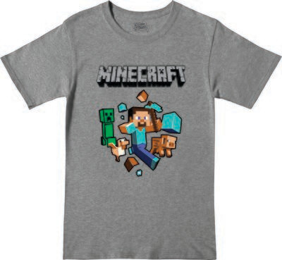 Remera Minecraft