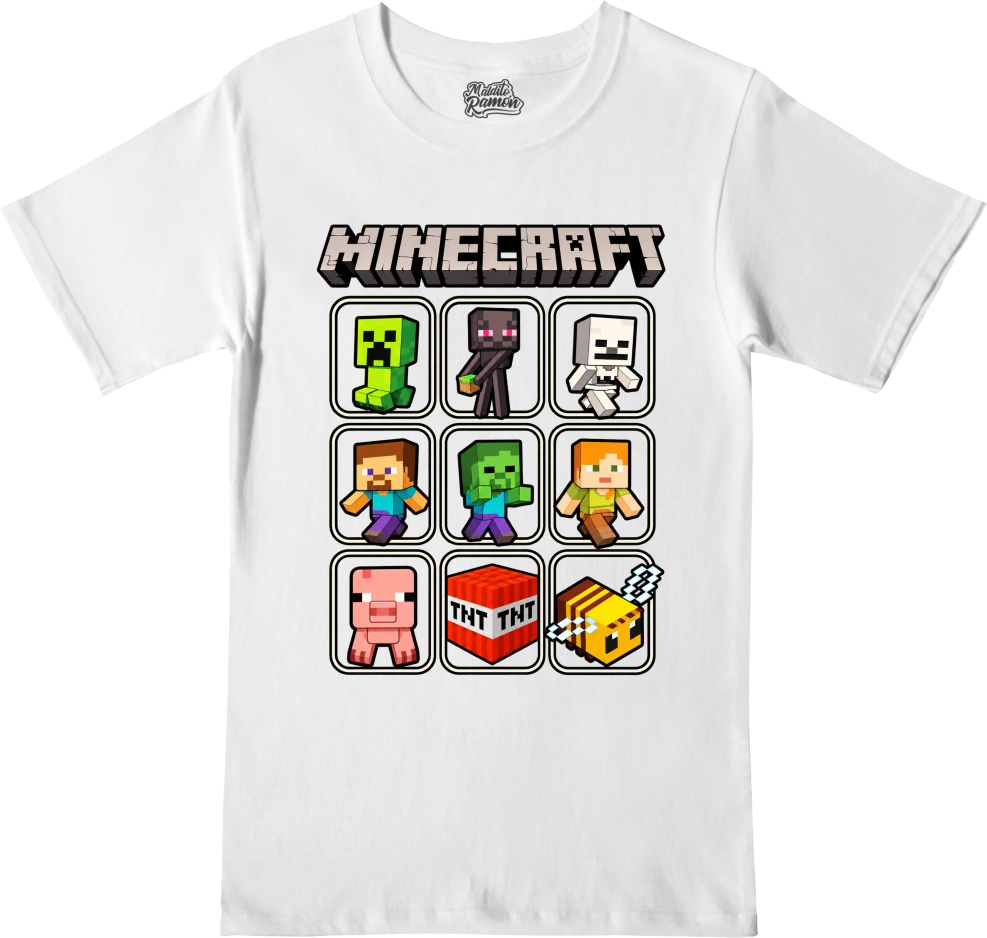 Remera Minecraft