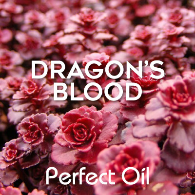 Dragon&#39;s Blood - Home Fragrance Oil Bulk 16 oz.