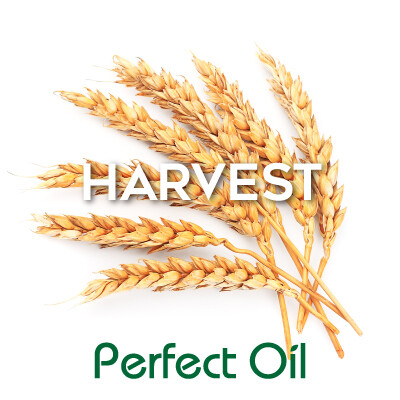 Picture showing seven wheat ears fanned across the background with the words harvest in white and Perfect Oil in green on top of the image itself. 