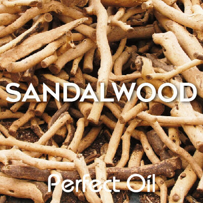 Picture showing a pile of sandalwood sticks with the words sandalwood and Perfect Oil in white on top of the image itself. 
