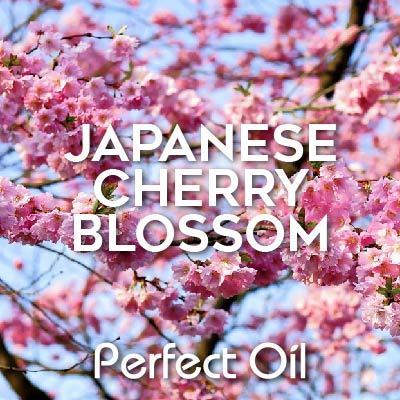 Picture showing a cherry blossom tree with numerous pink flowers set against a blue sky with the words Japanese cherry blossom and Perfect Oil in white on top of the image itself. 