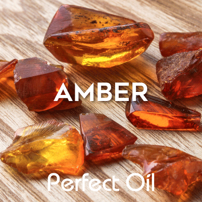 Amber - Home Fragrance Oil 1 oz.