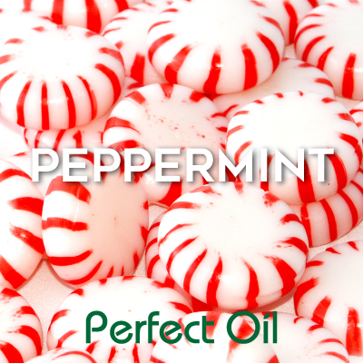 Picture showing a pile of red and white striped peppermint cadies with the words peppermint in white and Perfect Oil in green on top of the image itself. 