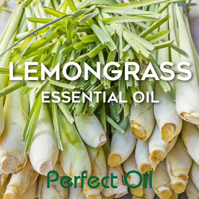 Lemongrass - Essential Oil 100 ml
