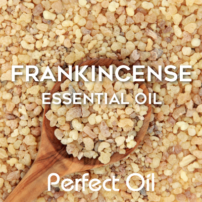 Frankincense - Essential Oil 100 ml