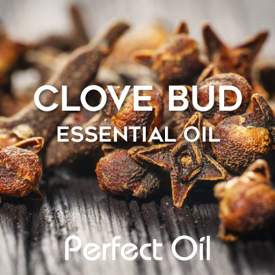 Picture showing a smattering of clove buds on a wooden table with the words clove bud essential oil and Perfect Oil in white on top of the image itself. 