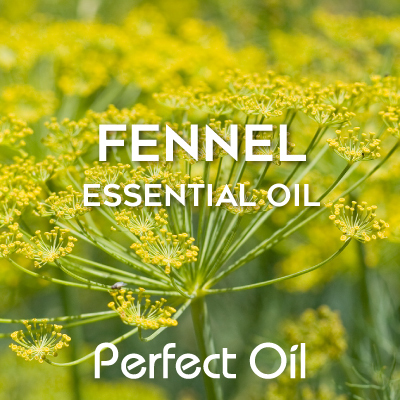 Fennel - Essential Oil 30 ml