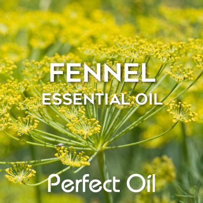 Picture showing a fennel flower with the words fennel essential oil and Perfect Oil in white on top of the image itself. 