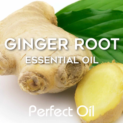 Picture showing a cut piece of ginger in the lower right with a chunk of ginger root in the middle and a few green leaves toward the upper right with the words ginger root essential oil and Perfect Oil in white on top of the image itself. 