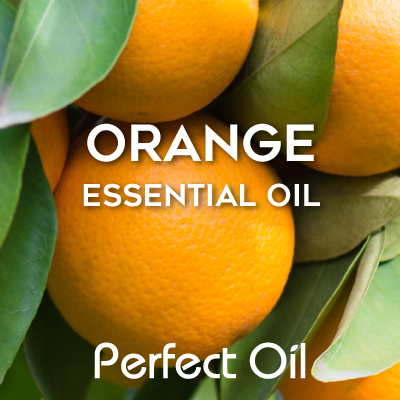 Picture showing parts of five oranges with leaves intermingled with the words orange essential oil and Perfect Oil in white on top of the image itself. 