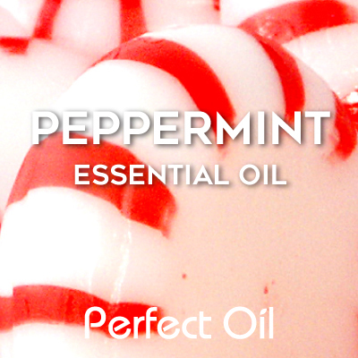 Picture showing several red and white striped peppermint candies with the words peppermint essential oil and Perfect Oil in white on top of the image itself. 