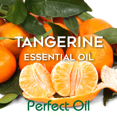 Picture showing a section of a peeled tangerine and a half of a peeled tangerine with a strip of the peel in front of them and six tangerines behind them to the left with several green leaves on top and scattered about with the words tangerine essential oil in white and Perfect Oil in green on top of the image itself. 