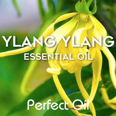 Ylang Ylang Essential Oil 30 ml