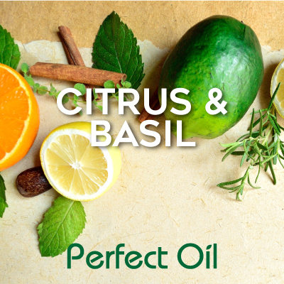 Picture showing part of half of an orange next to half of a lemon next to a lime and two stacked cinnamon sticks with a few basil leaves and sprigs of basil with the words citrus &amp; basil in white and Perfect Oil in green on top of the image. 