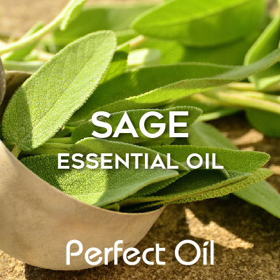 Picture showing several sage leaves in a wooden bowl with more sage leaves behind the bowl on top of dirt with the words sage essential oil and Perfect Oil in white on top of the image itself. 
