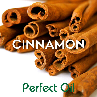 Picture showing a stack of cinnamon sticks on a white background with the word cinnamon in white and Perfect Oil in green on top of the image. 