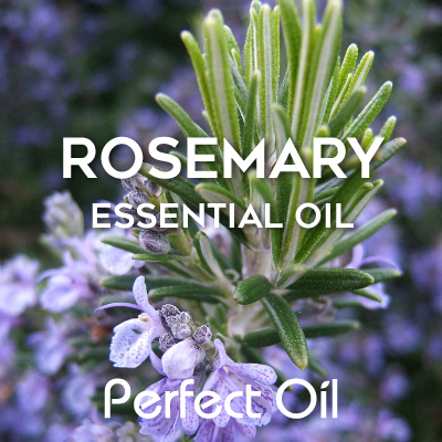 Picture showing light purple rosemary flowers with a green sprout in the center with the words rosemary essential oil and Perfect Oil in white on top of the image itself. 