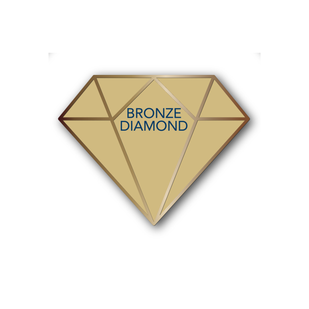 Bronze Diamond Pin