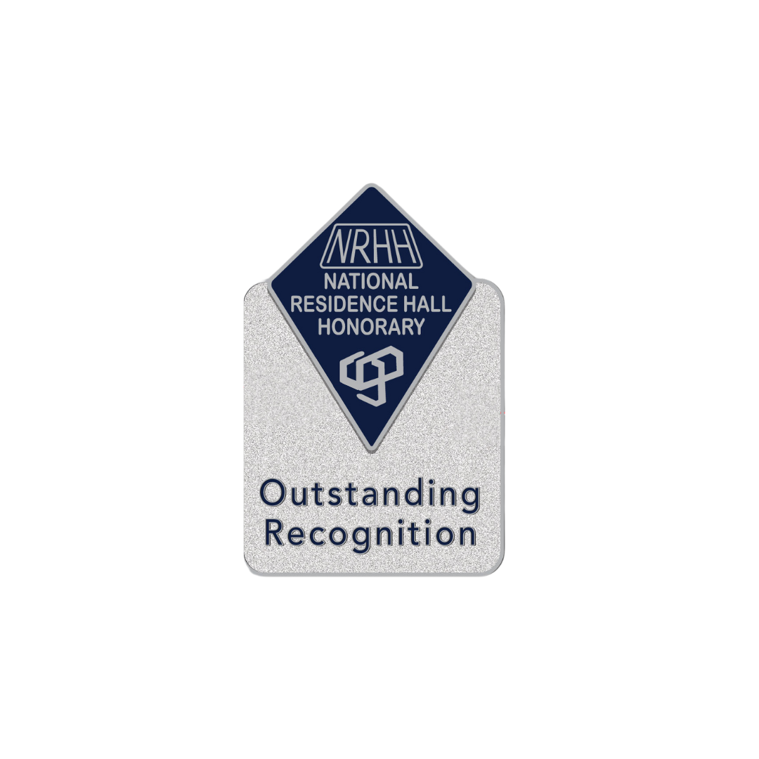 Outstanding Recognition Pin