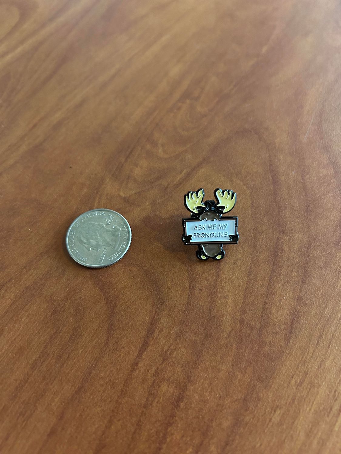 NEACURH Marty Pronoun Pin