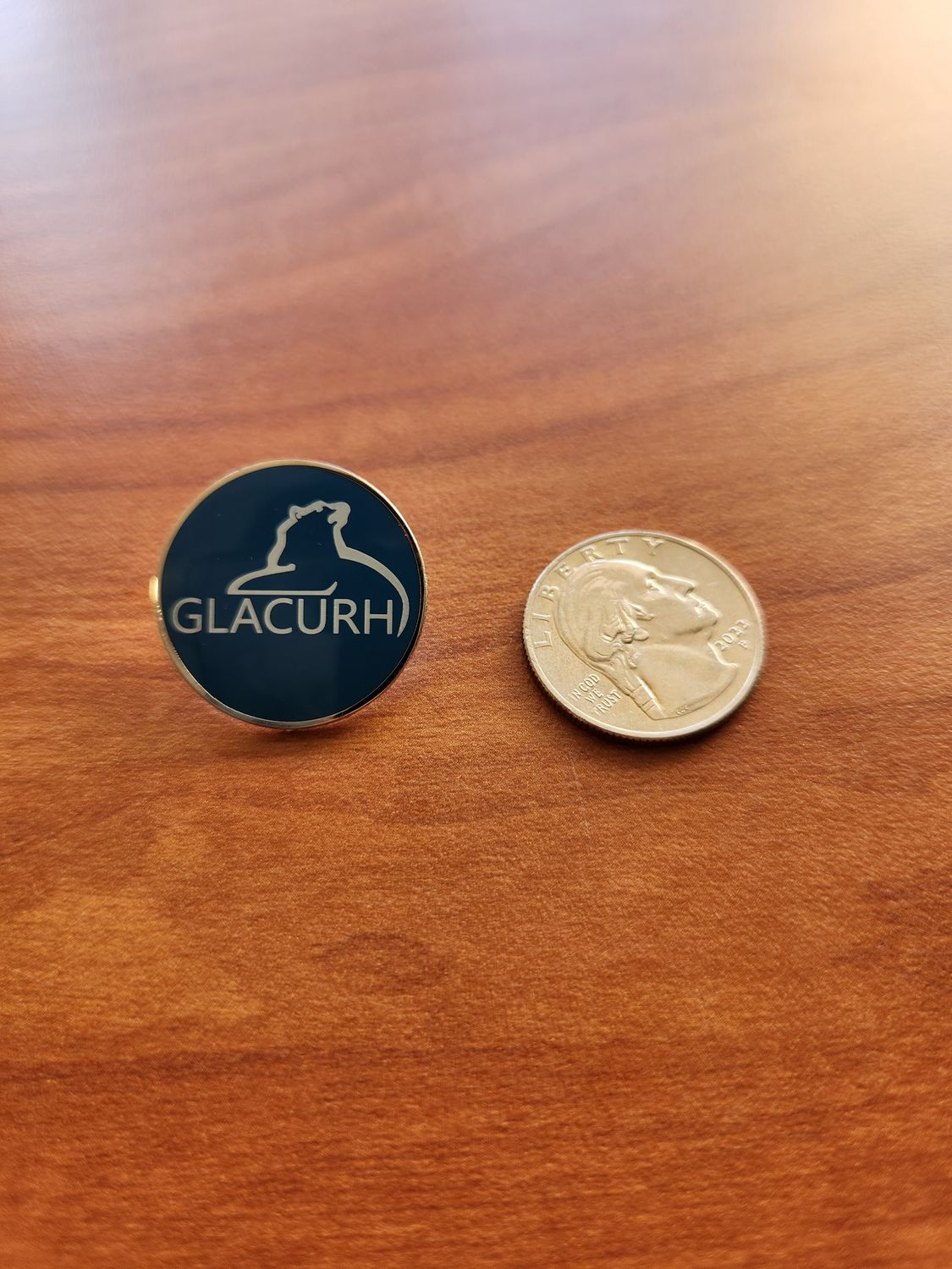 Retro Pin