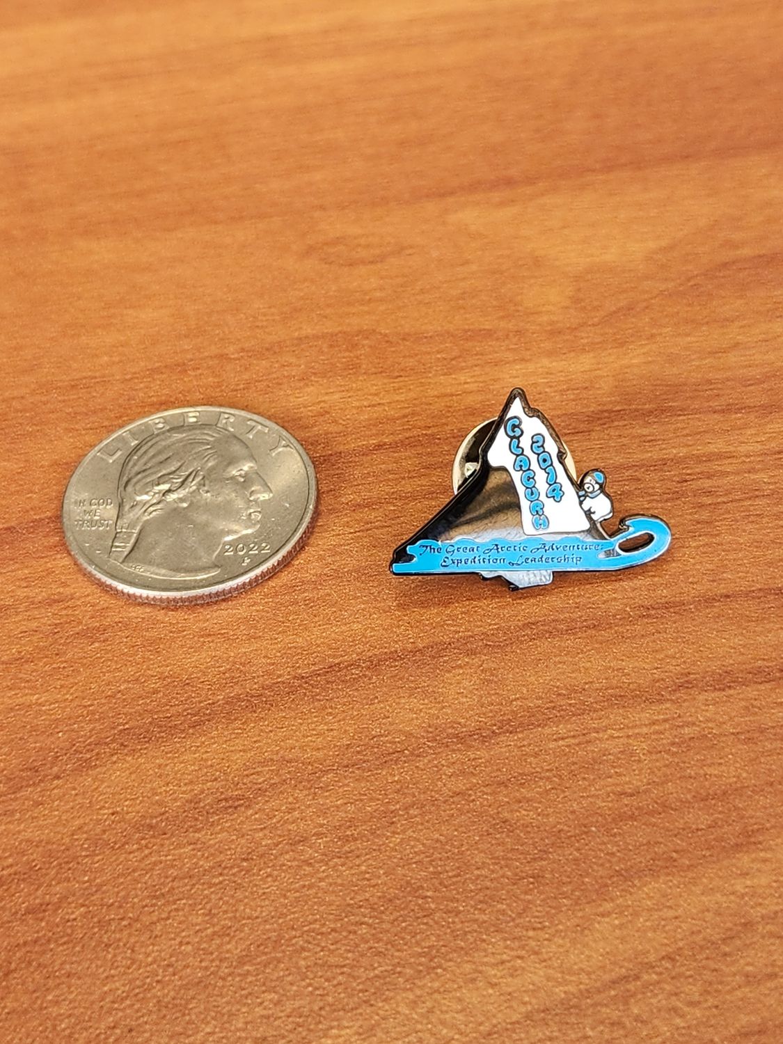 RLC 2014 Pin (Iceburg)