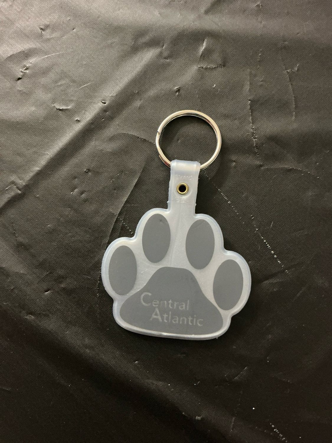 Paw Print Key Chain