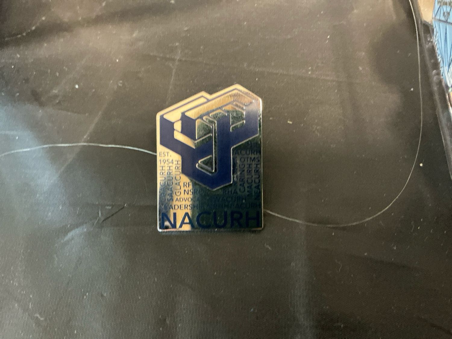 NACURH Word Cloud Pin
