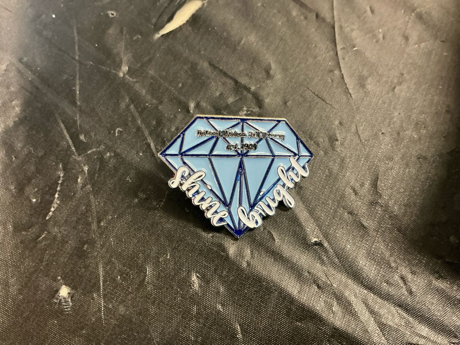NRHH Scholarship Pin