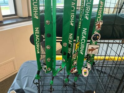 NEACURH Pre-built lanyards