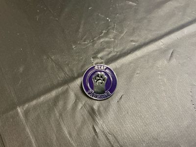 Stay Pawsitive Pins