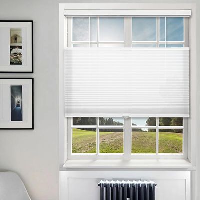 Top Down Bottom Up Shades,Light-Filtering Cellular Shades Cordless,Pull Down