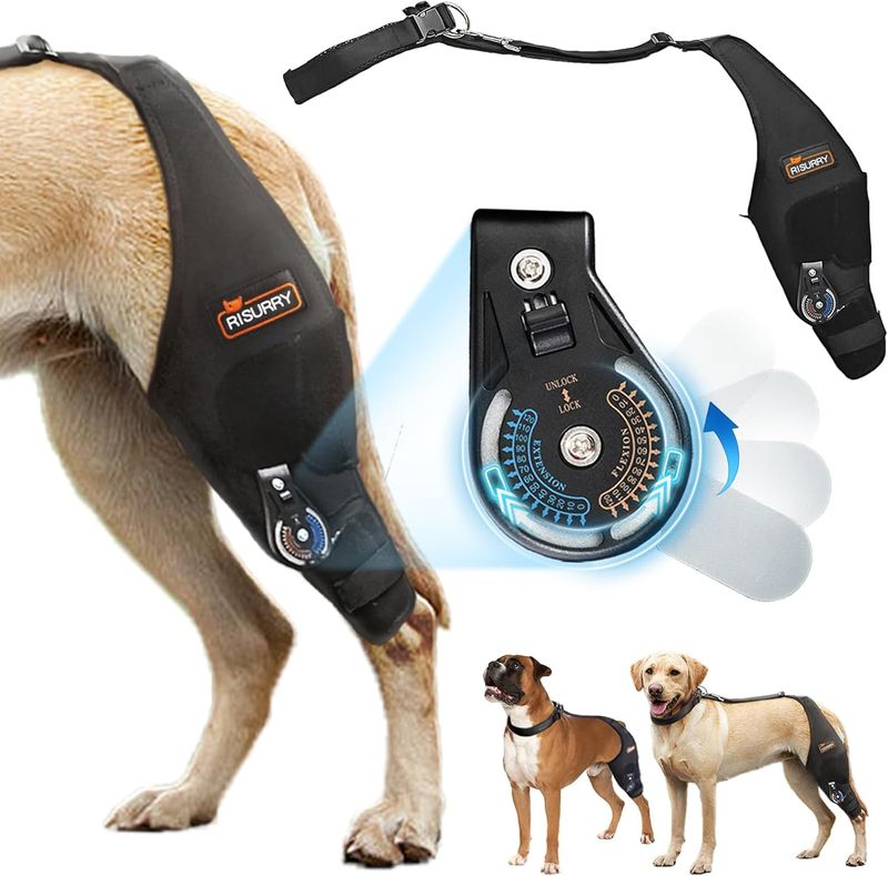 CHAMIN/RISURRY Adjustable Dog Knee Brace with Extra Collar, Support for Torn Acl