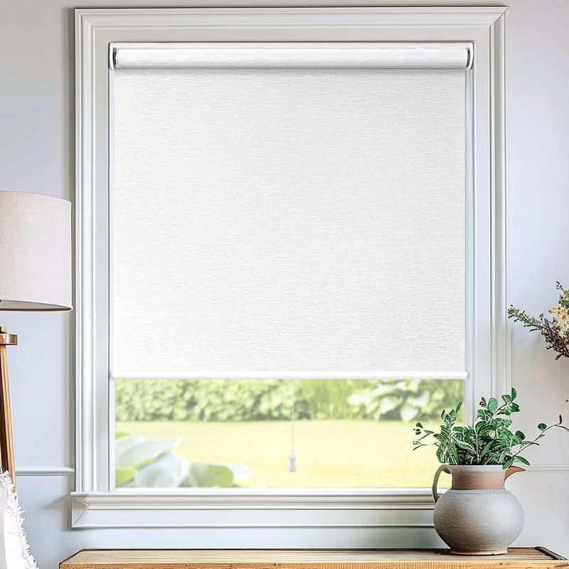 CHICOLOGY Roller Shades, Cordless Blinds, Window Shades for Home, W 27 inch x H 72 inch