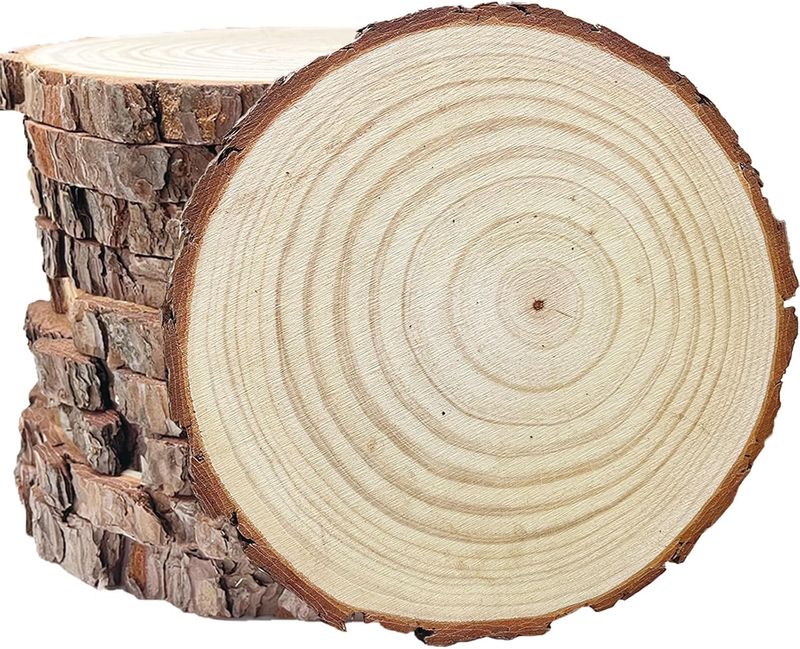 10pc 8-10 inchUnfinished Wood Slices for Centerpieces, Natural Wood Rounds