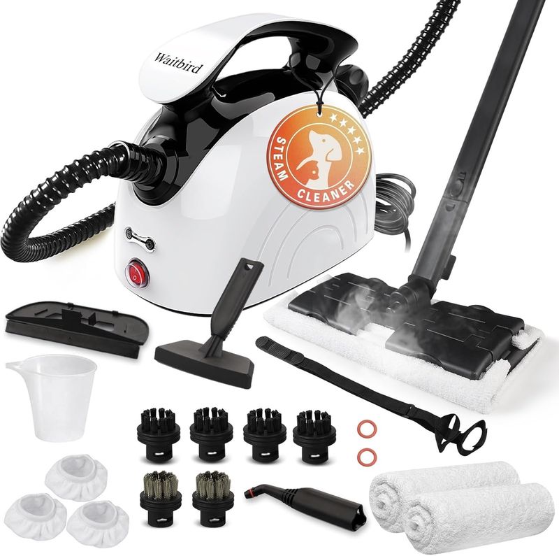 Steam Cleaner with 21 Specialized Attachments, 1.08-Liter Water Tank, White