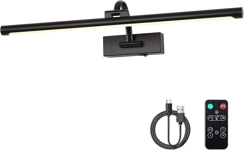 DESOOP Dimmable Black Picture Lights with Remote and Timer, 24 inch