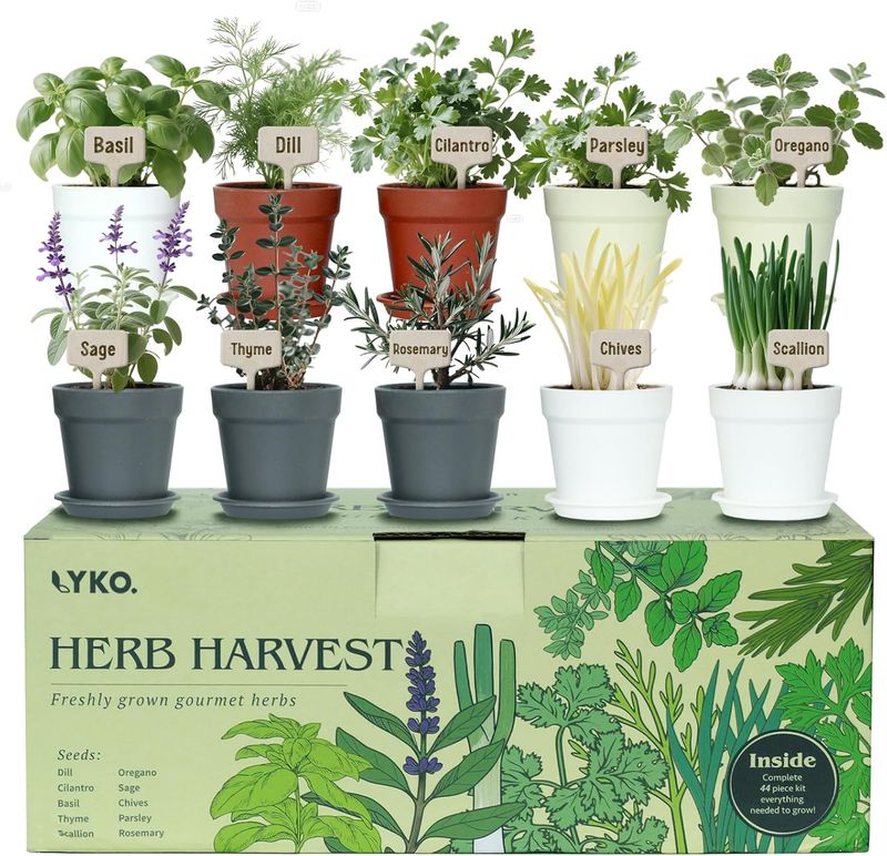 10 Indoor Herb Garden Kit, 33pcs Complete Kitchen Herb Starter Set Including
