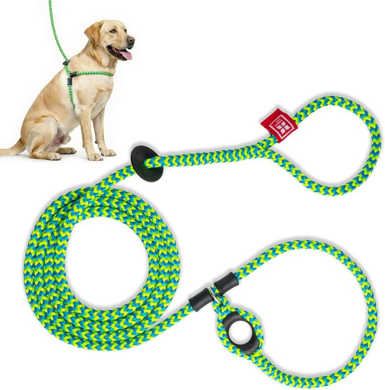 Harness Lead No Pull Dog Harness and Leash Set, Anti Pull Dog Harness, One-Piece