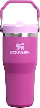 STANLEY IceFlow 2.0 Flip Straw Tumbler with Handle 14 oz | Twist On Lid and Flip