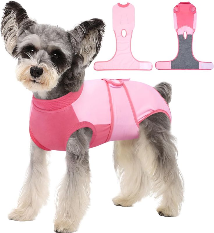 Kuoser Recovery Suit for Dogs, Soft Dog Spay Suit for Female Surgery Recovery,