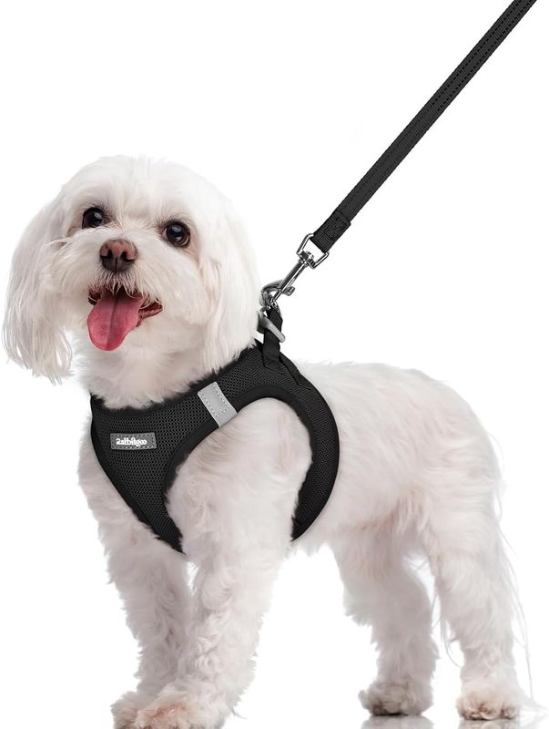 rabbitgoo Dog Harness and Leash Set, Black, Medium