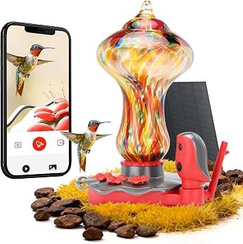 TT Nature Glass Smart Hummingbird Feeder with Camera Solar Powered open box