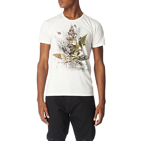 Religion Leaf Skull
