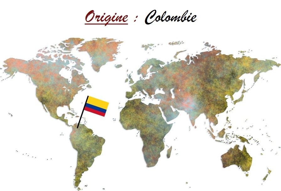 Café de Colombie