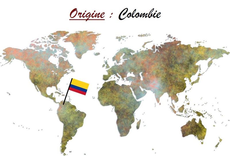 Café de Colombie